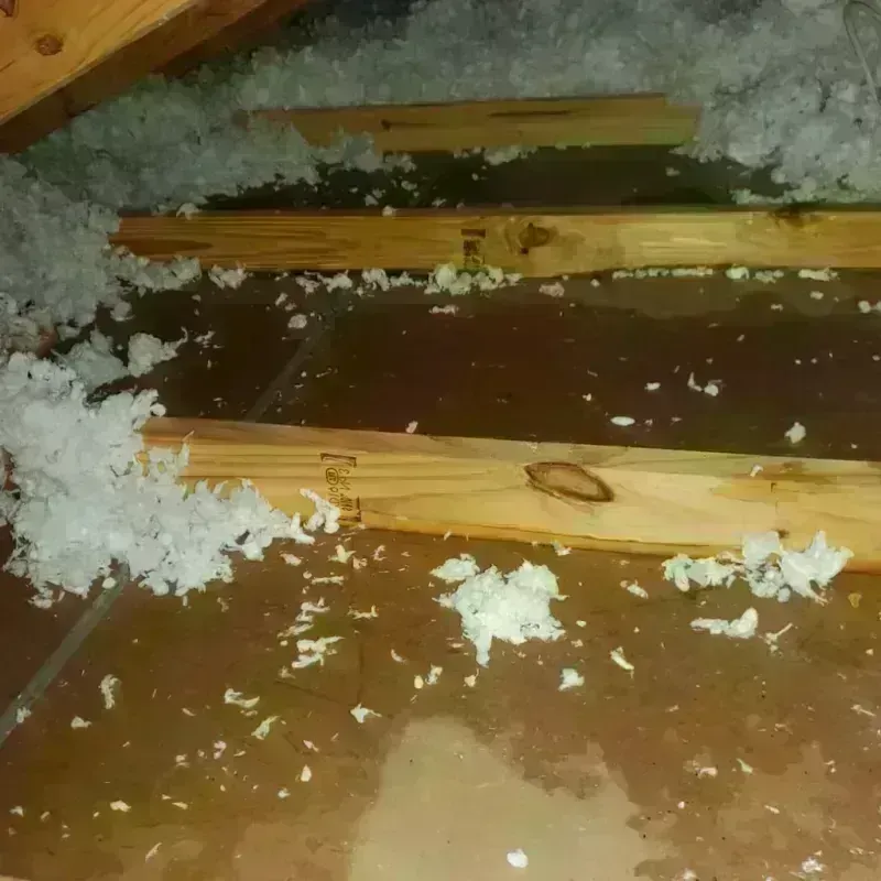 Attic Water Damage in Obetz, OH